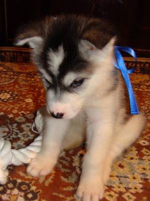 DSC08052.JPG