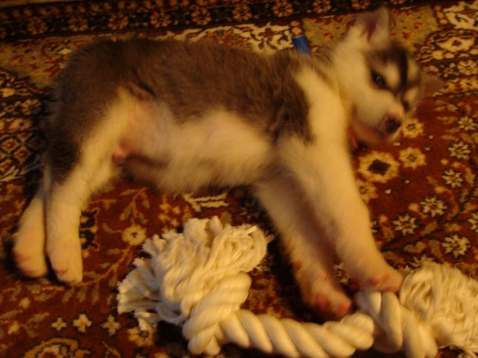 DSC08098.JPG