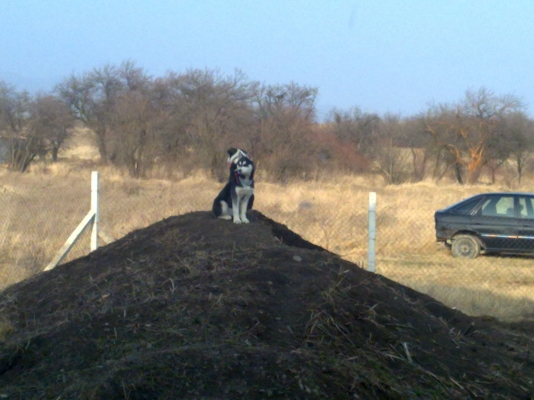 06032011050.jpg