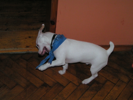 PICT0400.JPG