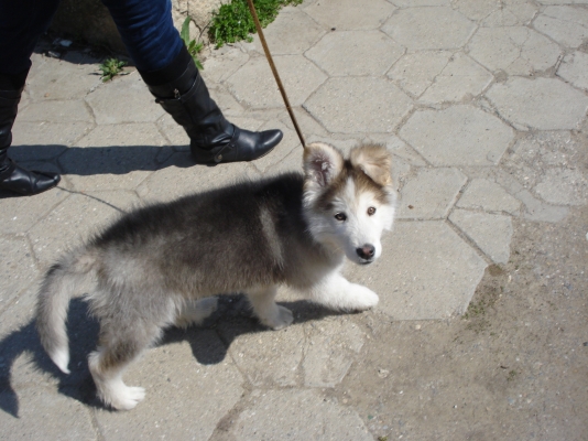 DSC06137.JPG