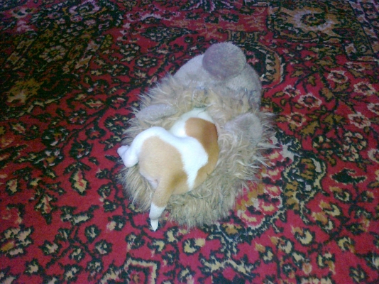 18042011362.jpg