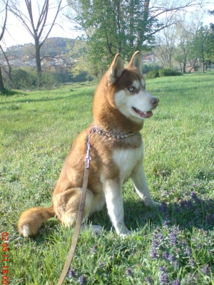 DSC02722.JPG