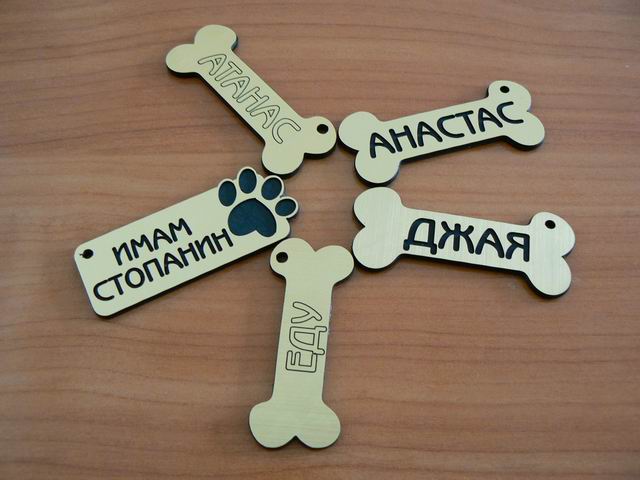 Качена снимка