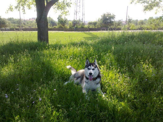 25052011174.jpg