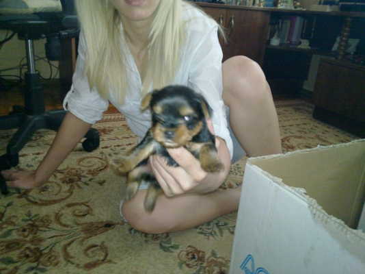 20110605_006.jpg
