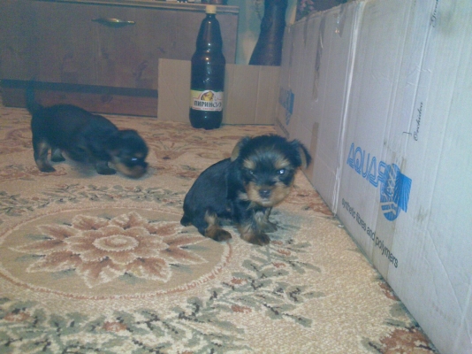 20110611_008.jpg