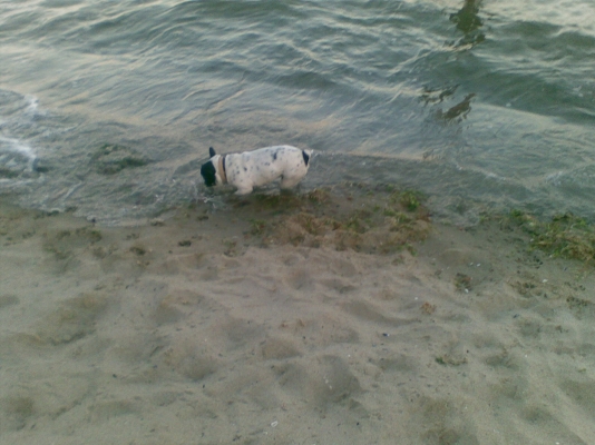 22062011.jpg
