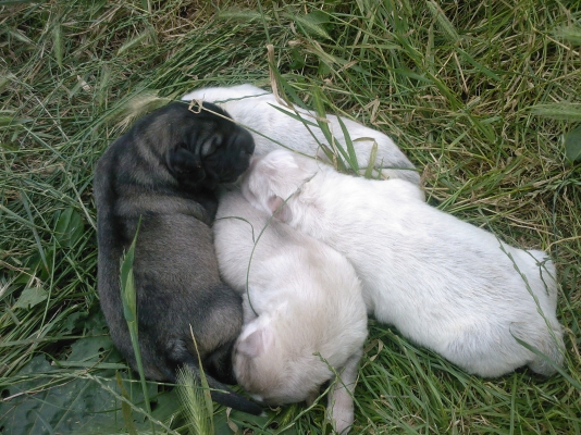 SP_A0824.jpg
