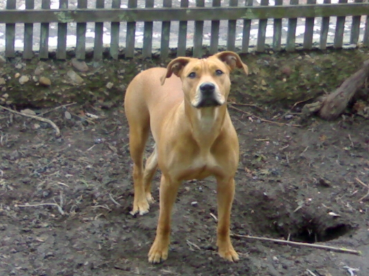 28022010010.jpg