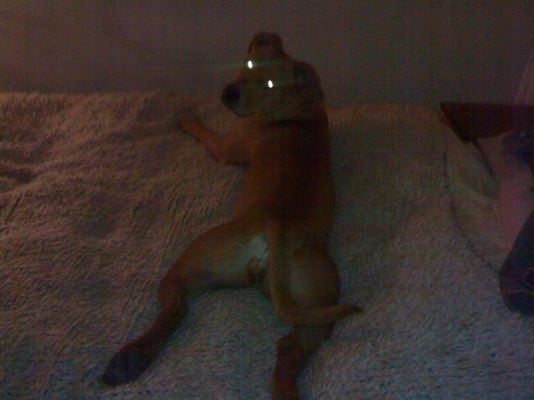 06032010011.jpg