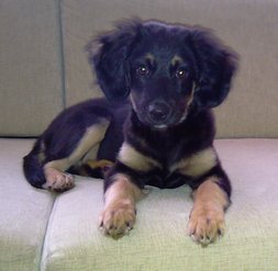 IMAG030956.jpg