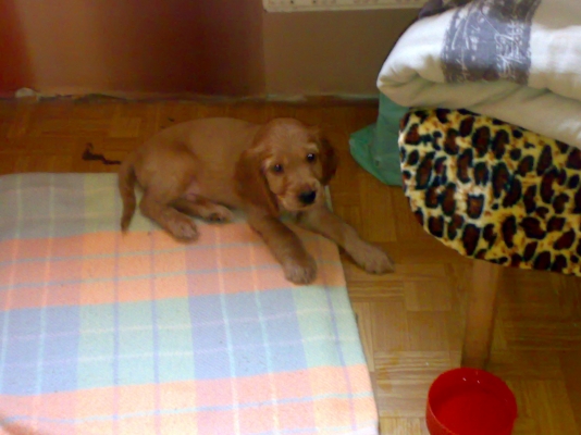 28072011247.jpg