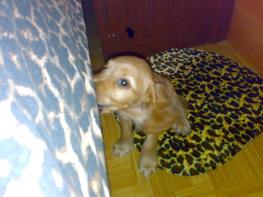 30072011258.jpg
