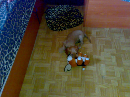 30072011255.jpg