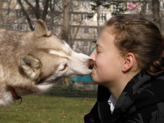 Целувки