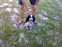 07082011418.jpg