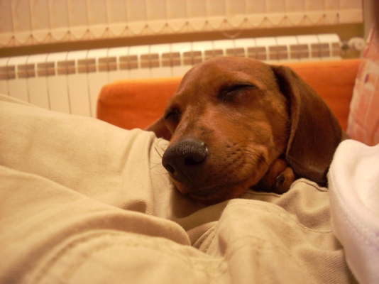 DSCN1280.JPG