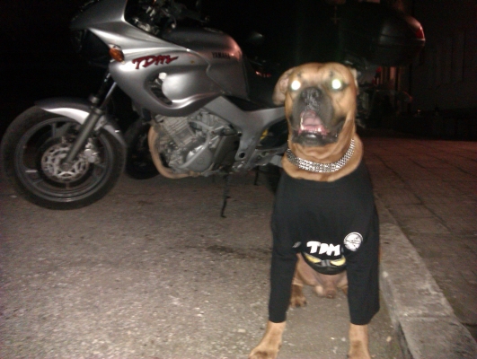 IMAG0262.jpg