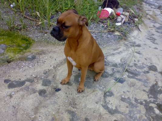 04092010123.jpg