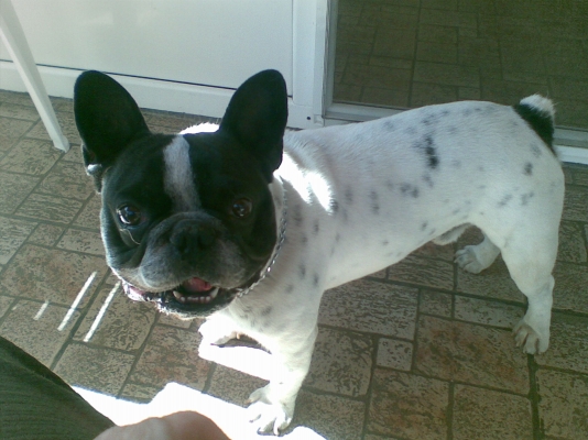 28082011.jpg