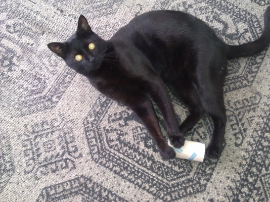 08042011095.jpg
