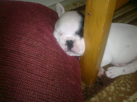 24092011126.jpg