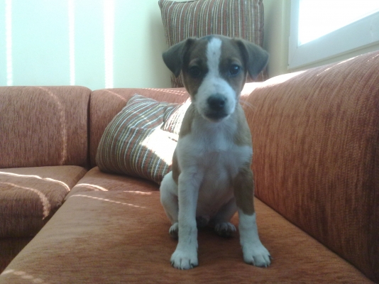 031020111540.jpg
