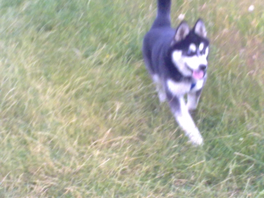 02072011613.jpg