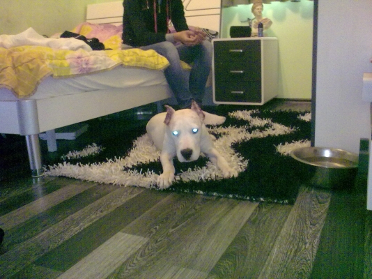 11102011470.jpg