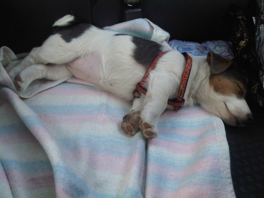 IMG-20111127-00115.jpg
