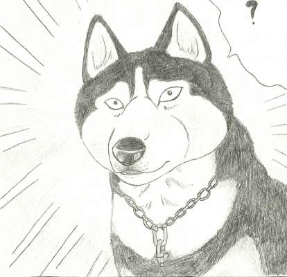 dog20003.jpg