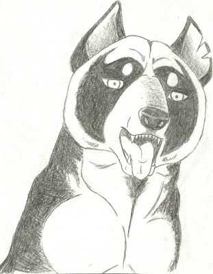 dog20005.jpg