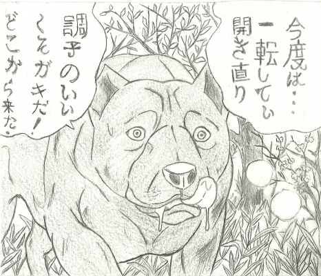 dog20008.jpg