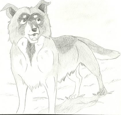 dog20002.jpg