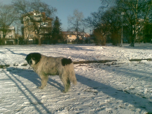 01012012(007).jpg