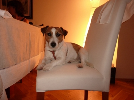 P1010187_2.jpg