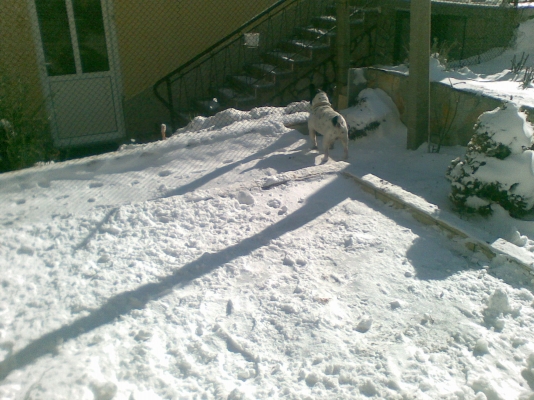 29012012(001).jpg