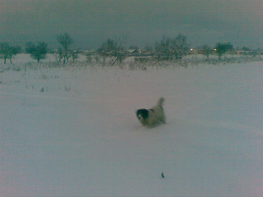 26012012.jpg