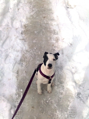 Snowflake