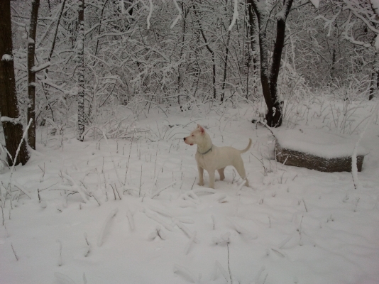 2012-01-21 09.13.50.jpg