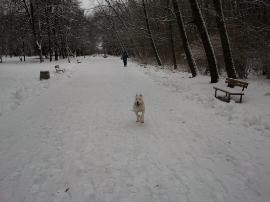 2012-01-09 09.58.16.jpg