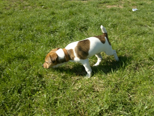 11042012792.jpg