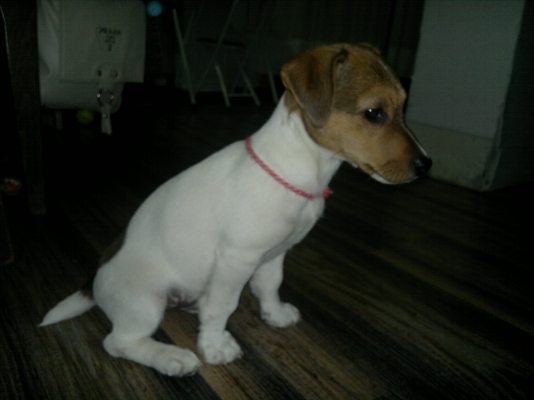 11032012698.jpg