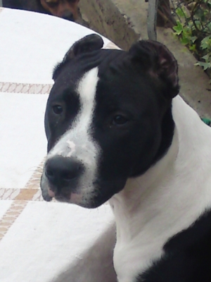 DSC02872.JPG