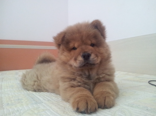 2012-04-29 14.14.55.jpg