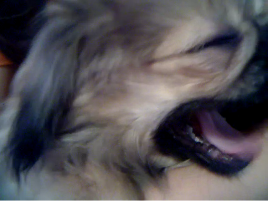 Video call snapshot 160.png