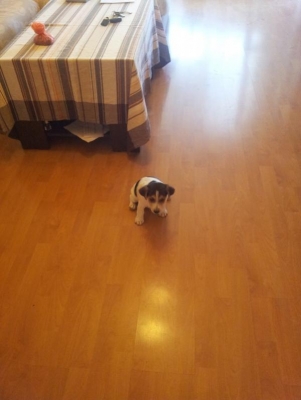 20120501_190256.jpg