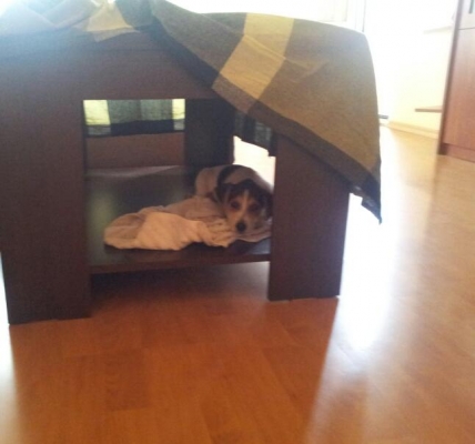 20120506_160818-1.jpg