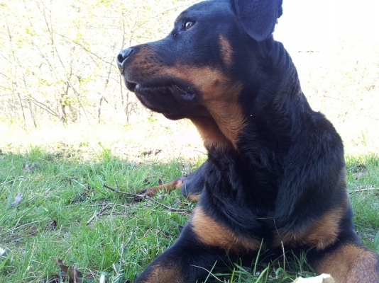 20120411_085217.jpg